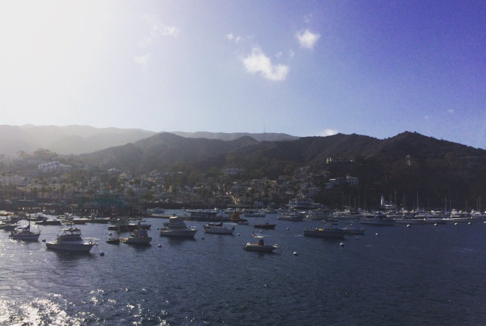 Tickets on sale now! catalinafilm.org PROMO CODE: CFF13CFI
It applies only to the Full Festival Passes, 3-Day Pass, 2-Day Pass, and the daily (W, Th, Fri &amp; Sat) Festival Passes. #CatalinaFilm