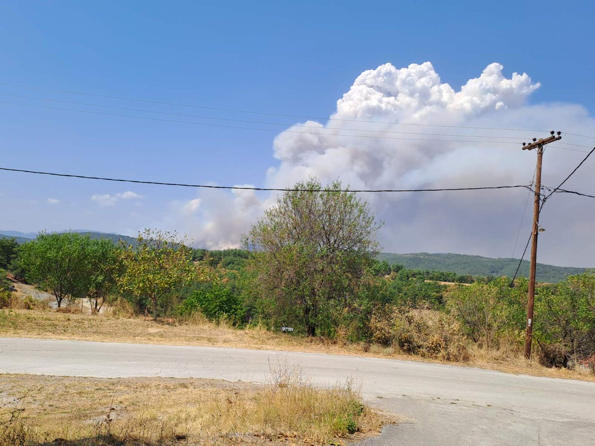 WWFGreece's tweet image. ❗ Η κατάσταση στη Δαδιά είναι εκτός ελέγχου. Για 12η μέρα πυρκαγιά καίει το δάσος και κατευθύνεται προς τον βόρειο πυρήνα του Εθνικού Πάρκου, την ώρα που η πυροσβεστική υποχωρεί προς τους οικισμούς. Η κυβέρνηση πρέπει να αντιδράσει πριν η καταστροφή γίνει ολοκληρωτική.