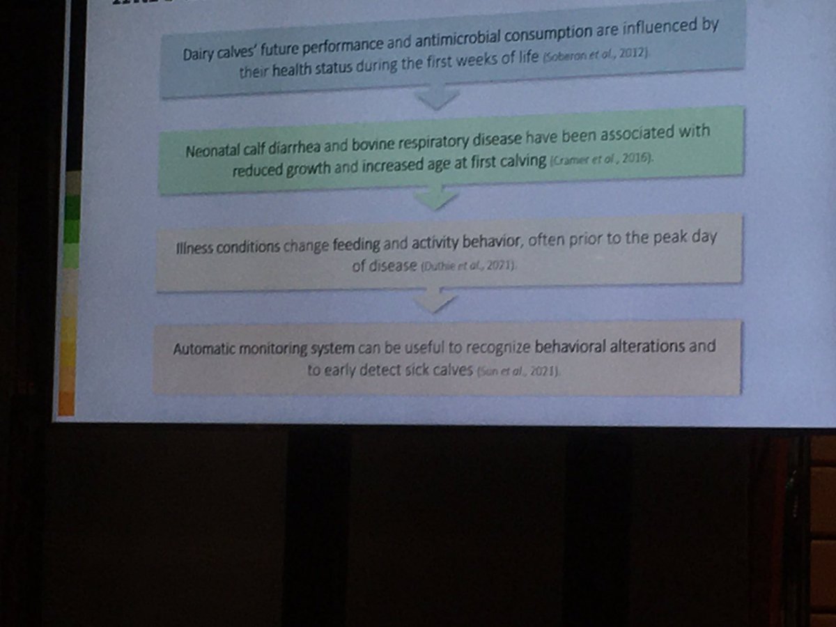 David Bell tweet media