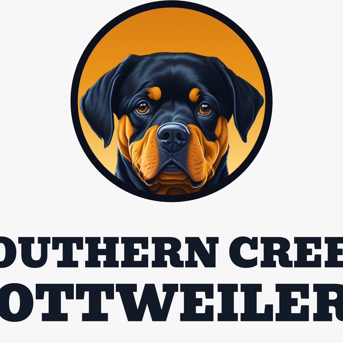 SCRottweilers's tweet image. #NewProfilePic