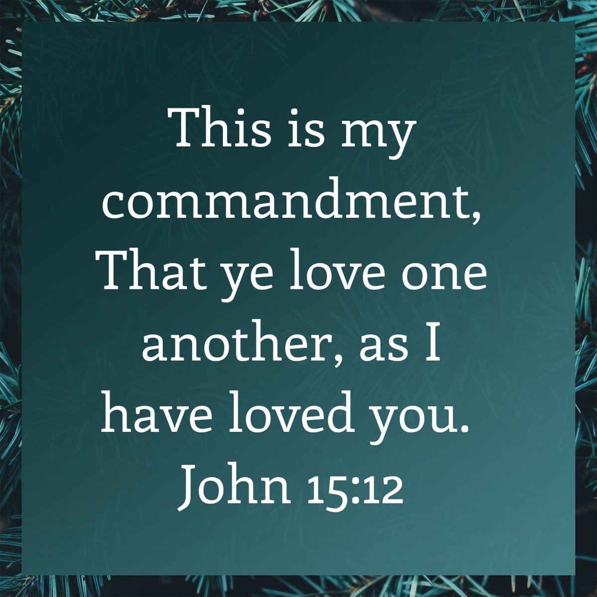 This is my commandment, That ye love one another, as I have loved you.
John 15:12 KJV

bible.com/bible/1/jhn.15…