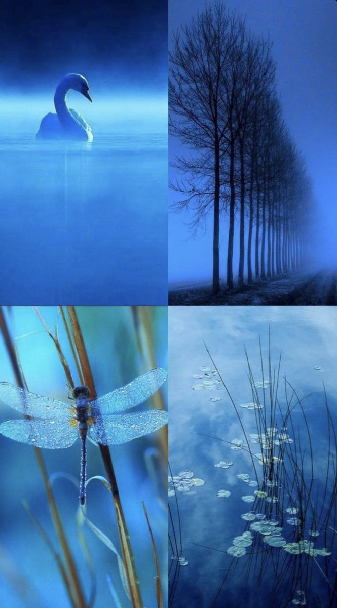 💙See you tomorrow💙
　love and beautiful✨