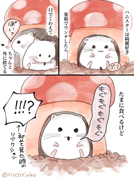 ハムスター漫画編
 #今月描いた絵を晒そう 