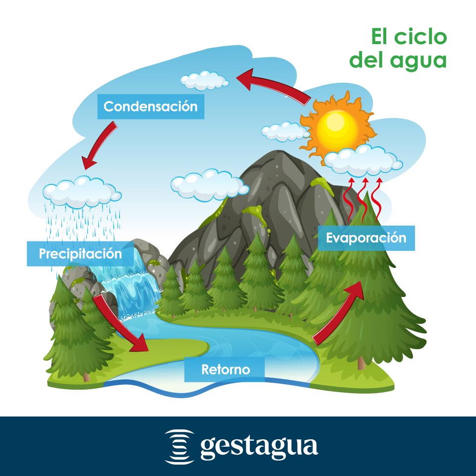 Evaporación En El Ciclo Del Agua El Ciclo Del Agua