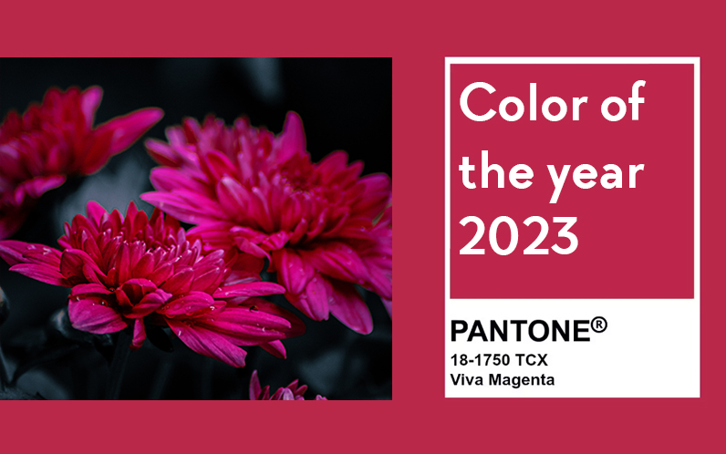 Colour of the Year - Viva Magenta is a bright pinkish-purple hue that is both eye-catching and energizing. This instantly brings to mind - Ruby.
Other gemstones that invokes the colour of Viva Magenta perfectly is Rubellite Tourmaline, and Rhodolite Garnet