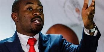 It's astonishing how @nelsonchamisa fails to grasp the reality of defeat. While others pivot and move forward, he clings to empty claims. Growth seems elusive. #ZimElectionResults @2023edpfee @enkudheni @Tinoedzazvimwe