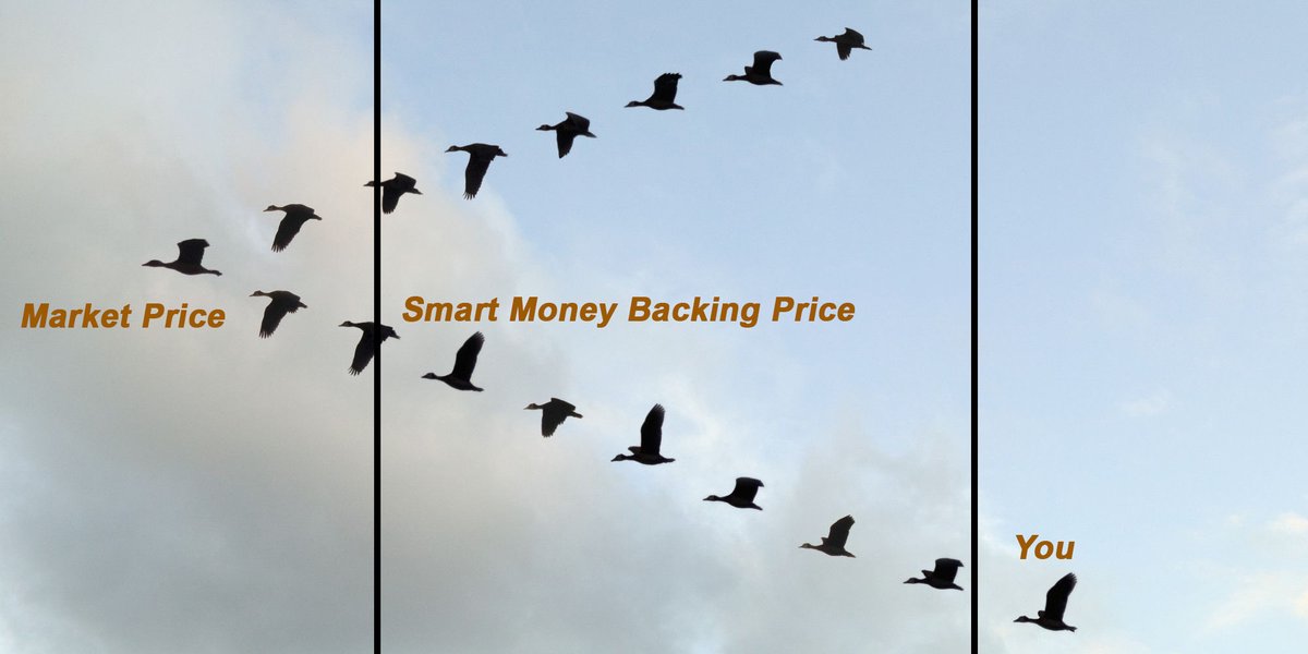 RufasKe's tweet image. As a retail trader, you are like a pelican flying in formation. You need to stay in the direction of price and be ready to change direction when price changes. 

The leading pelican never communicates when it&apos;s about to change direction. However, the birds behind it are able to…