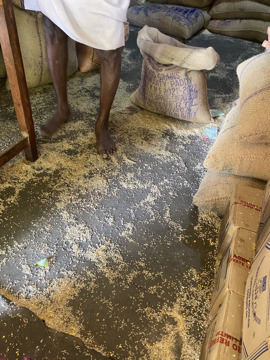sowmya_alg's tweet photo. Saw this in a ration shop. The salespersons should be more mindful while distributing the commodities as these essential items are stepped on by people making it hard for consumption.

#foodokwasteyaake https://t.co/srPeRJoGYQ