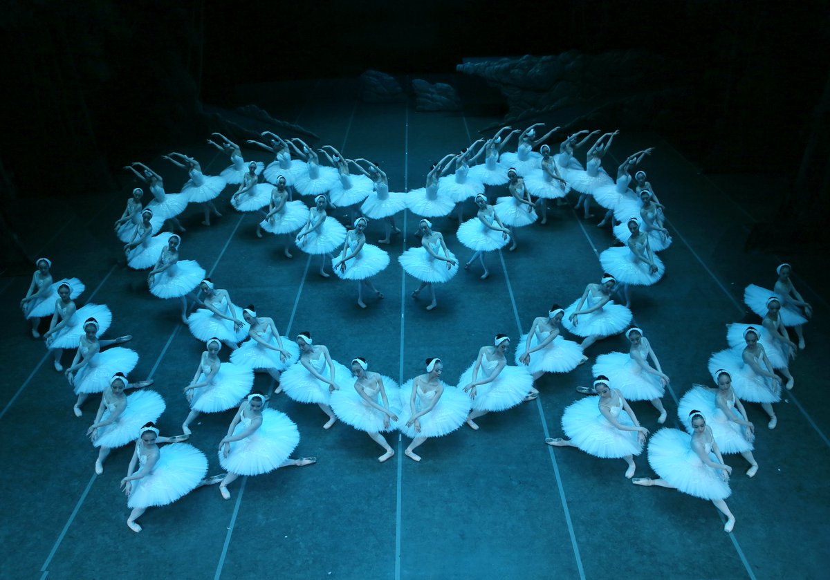 The world's largest version of #SwanLake from 🇨🇳#Shanghai has arrived in 🇳🇱. 107 members of #ShanghaiBallet will start 45-day classic #SwanLake for the 4th Dutch tour. 35 performances will be shown in 4 cities: Amsterdam, Groningen, Rotterdam & Heerlen.