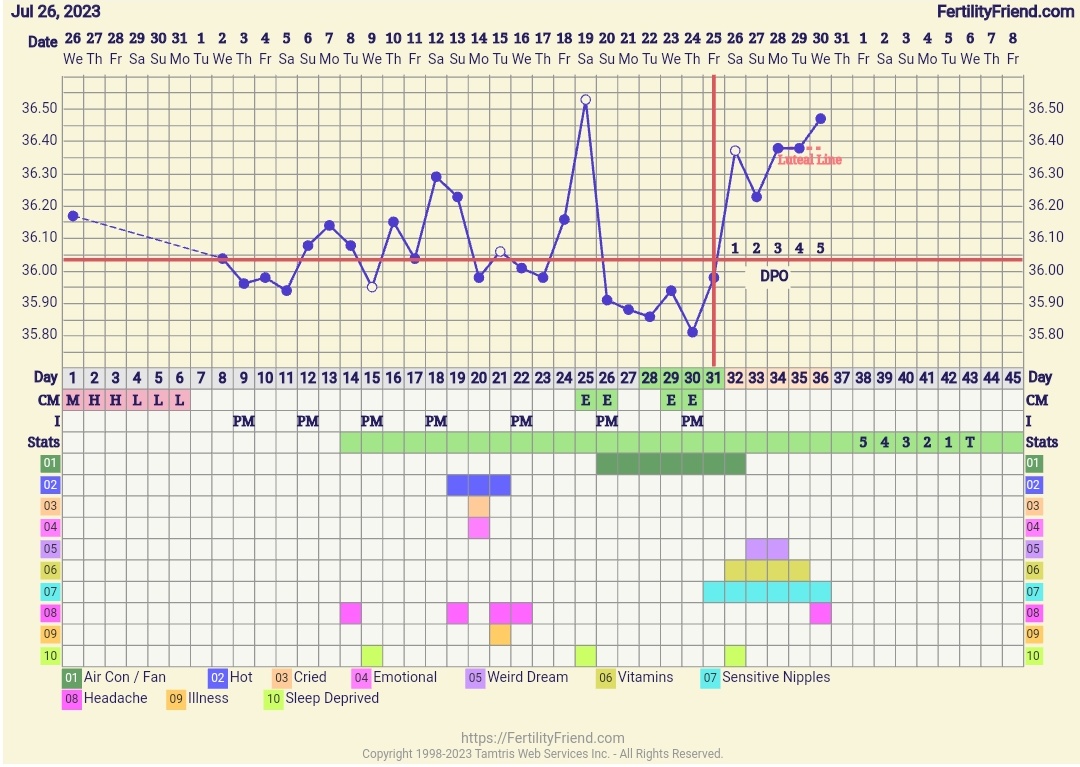 FairyFluff💖 tweet media