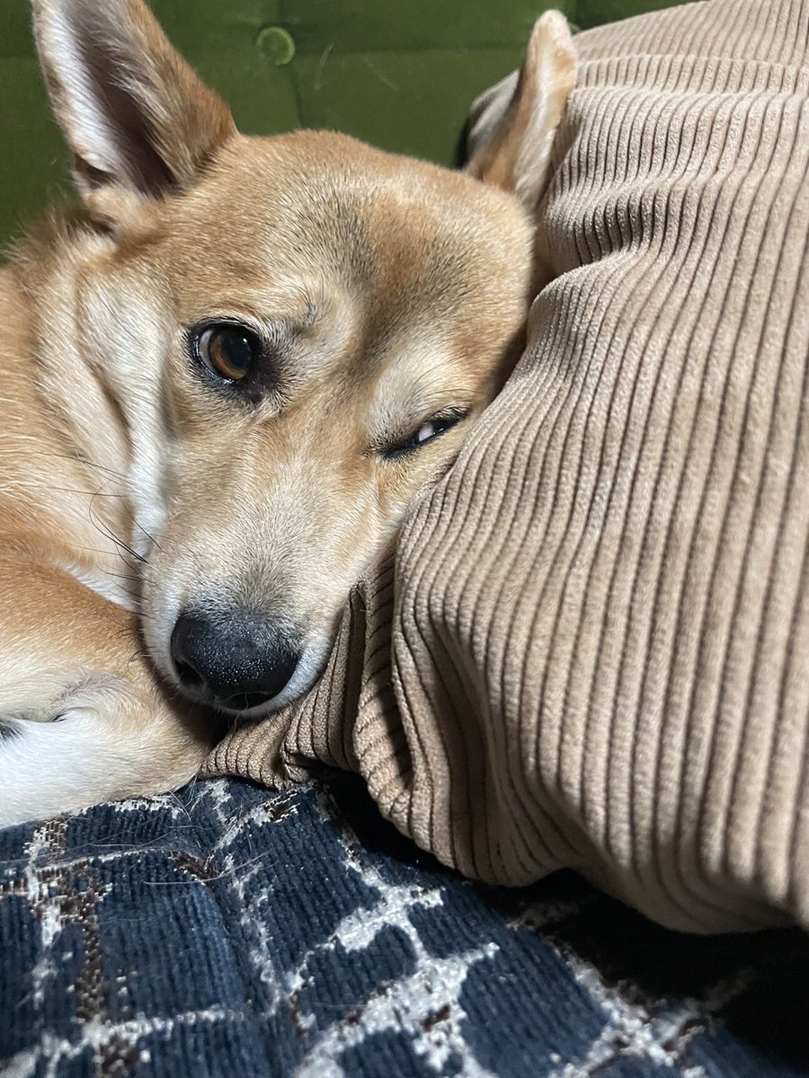 本日と明日は、お休みとなっております。
金曜日より通常営業です。

告知が遅くなり申し訳ありません🙇‍♀️

どうぞよろしくお願いいたします。