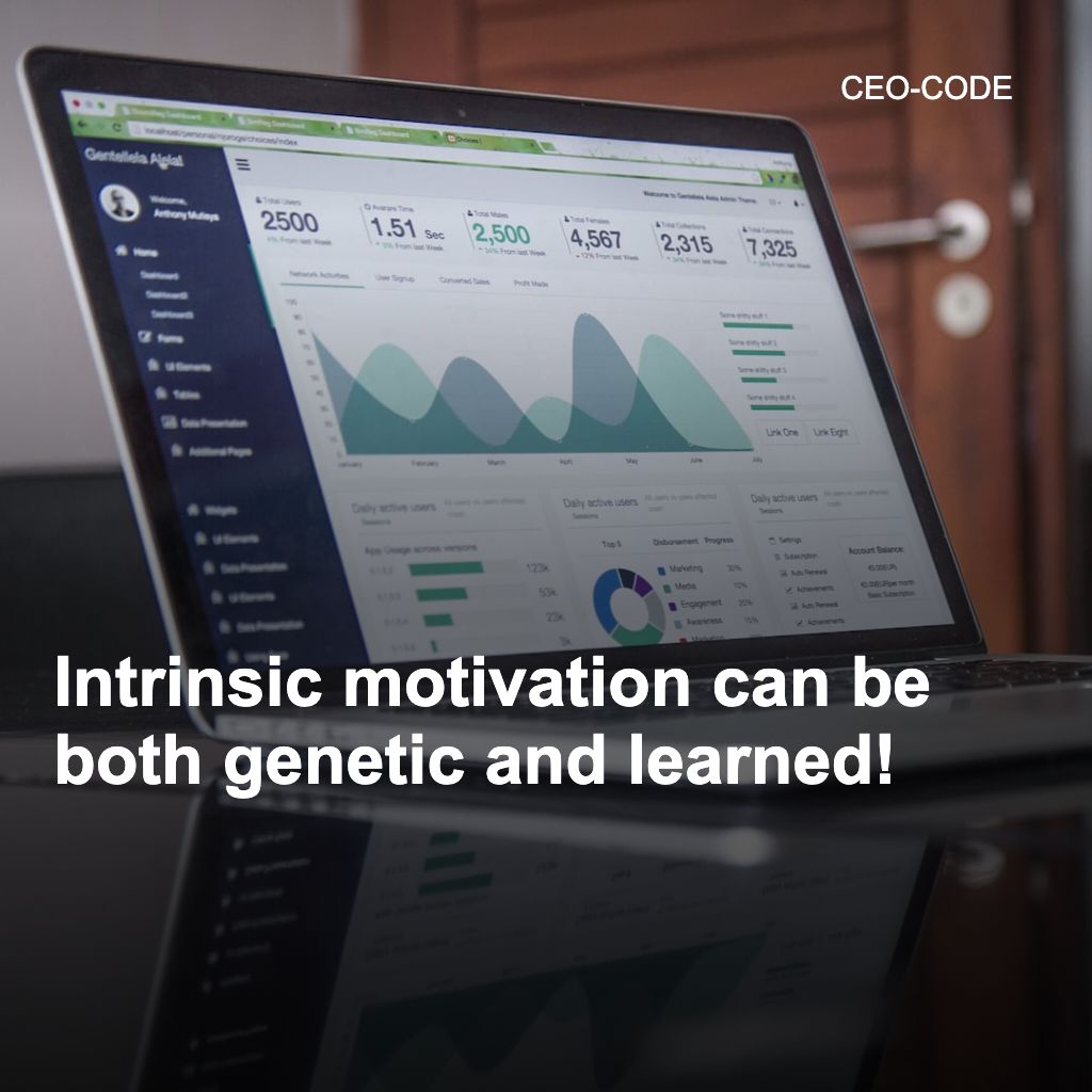 brunello_b's tweet image. Fun Fact: Intrinsic motivation can be both genetic and learned. Those born with active genes tend to be more motivated to seek out new challenges and experiences. #unleashyourpotential #embracechange #leadwithpersonality