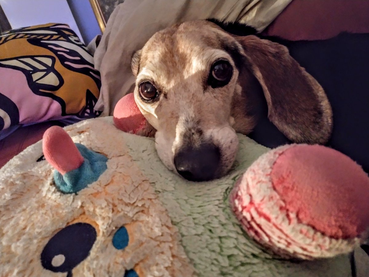 marker_bytes's tweet image. Hi frens