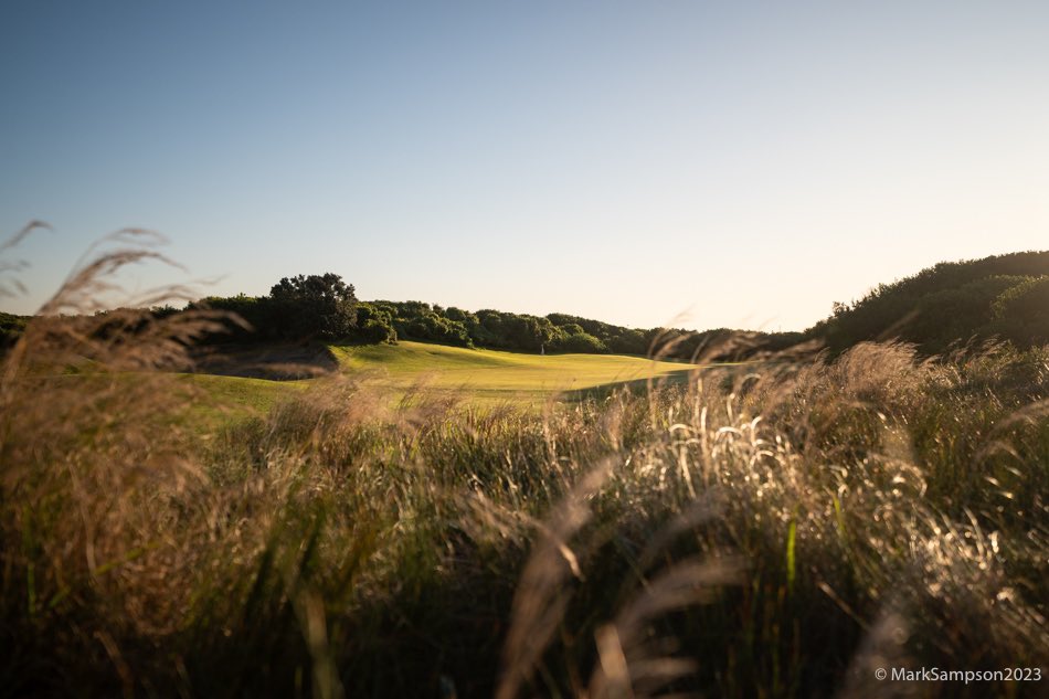 MarkSampsonGolf's tweet photo. Wind up, drone down. No better excuse to spend some time on my belly in the Fynbos around the Grand Dame @Humewoodgolf Sometimes old school is just better. Your thoughts? #golf #golfphotography #links https://t.co/2jMArrN18h