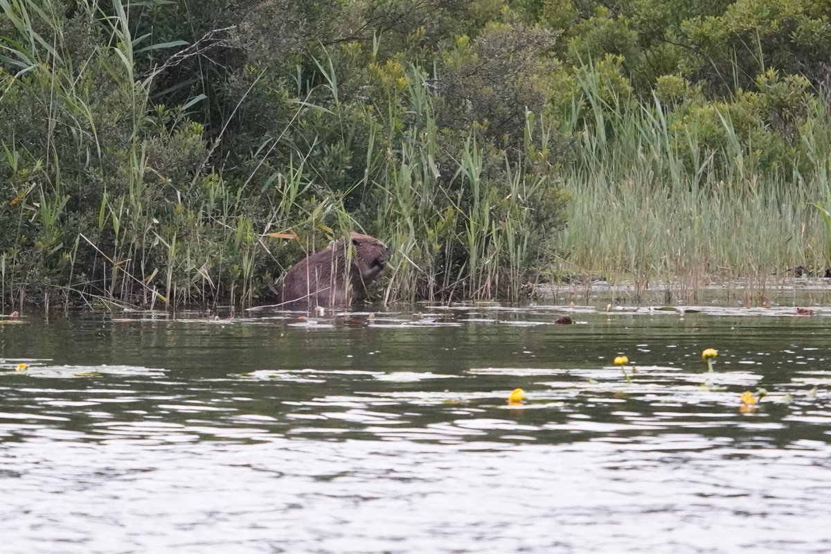 Ruari Saunders Photography tweet media