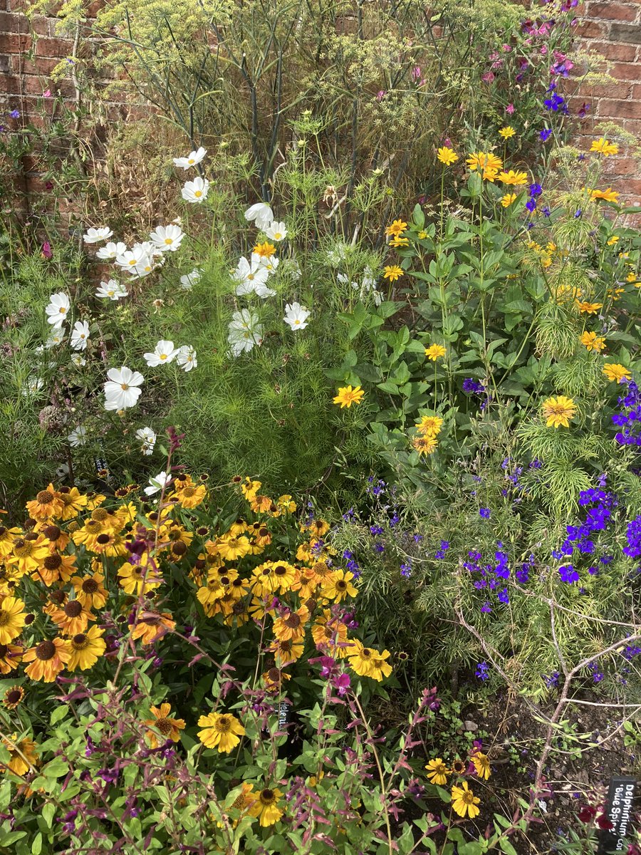 Judy Carr tweet media