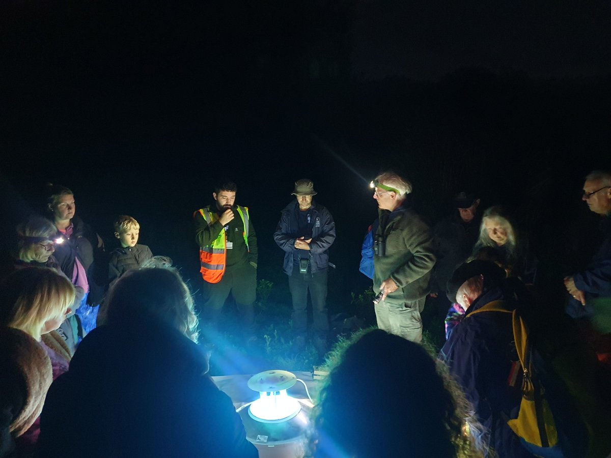 Huge thanks to @HewittKvn for the marvellous moth experience at the Road to Nature last night. It was so lovely to stand back and listen as he shared his knowledge and the magic of the moth trap with everyone. #Newport #biodiversity