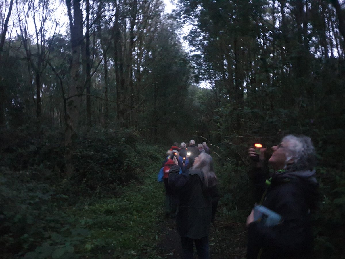 The smiles on the faces when the bat detectors went off said it all! Thanks to Andy Karran @GwentWildlife for joining us and leading the bat walk at Road to Nature last night, the bats didn't disappoint!