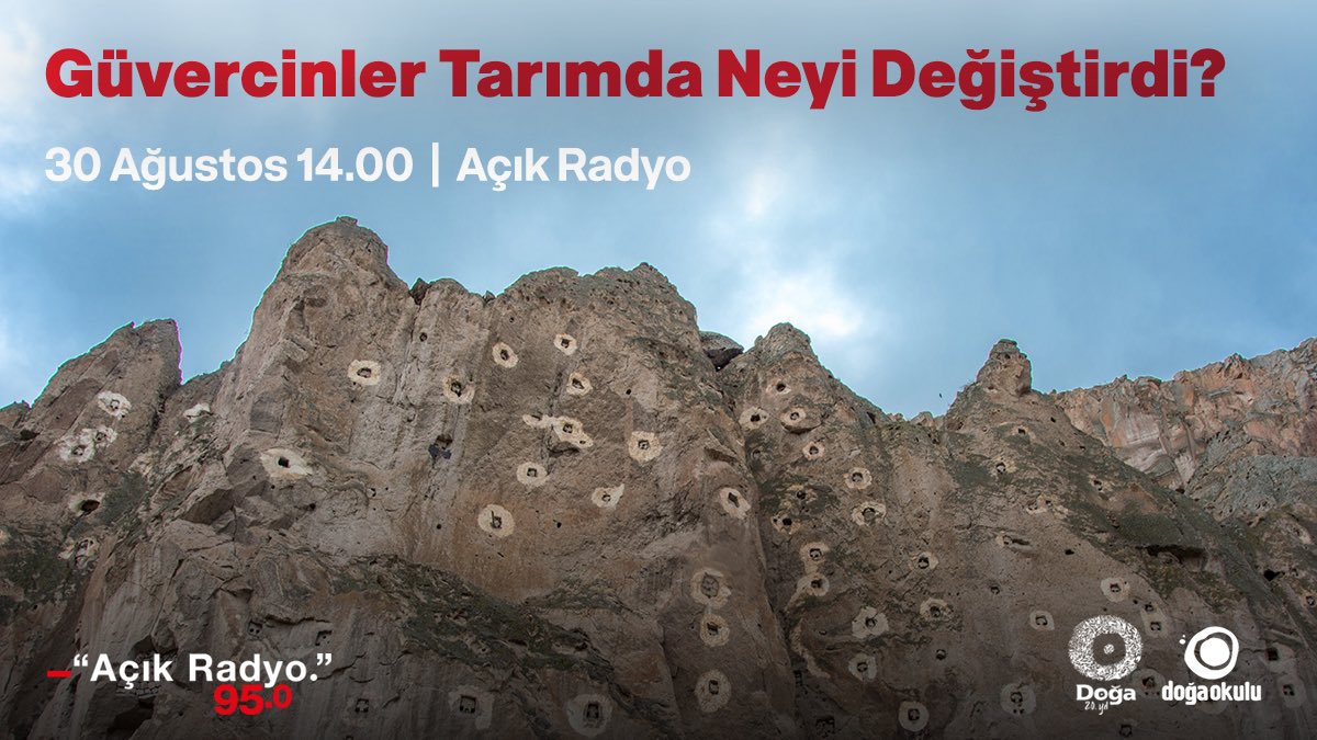 DogaDernegi's tweet photo. Güvercinler Tarımda Neyi Değiştirdi?

Tarımın geçmişine indiğimizde karşımıza Anadolu coğrafyası çıkıyor. O zamanlardan günümüze kadar Anadolu’da tarım, yaban hayvanlarıyla işbirliği yaparak oluşturuldu. Bu işbirliğinden birisi de güvercinlerle yapılan bir tarım sistemi. Kapadokya ve Dicle Nehri kıyılarında bir zamanlar yaygın olarak kullanılan bu yöntem sohbetimizin konusu. Güvercinlerle birlikte nasıl üretim yapılır? Güvercinlerin döngülerine uygun güvercinlikler nasıl hazırlanır? Anadolu’daki güvercinliklerin özellikleri neler? Tarımda güvercinlerin desteğinin alınmamasının nedenleri ve sonuçları neler? 

Ekosistemle uyumlu bu üretim biçiminin hikayesini dinlemek isterseniz 30 Ağustos Çarşamba günü 14.00’te 95.0 Açık Radyo’da buluşalım.

Açık Radyo canlı yayınına aşağıda yer alan linkten ulaşabilirsiniz.

https://t.co/QGwpnVnOOR

Fotoğraf: Burak Özkırlı

#Anadolu #DoğaSohbetleri #Güvercin #Kapadokya #DicleNehri #Tarım