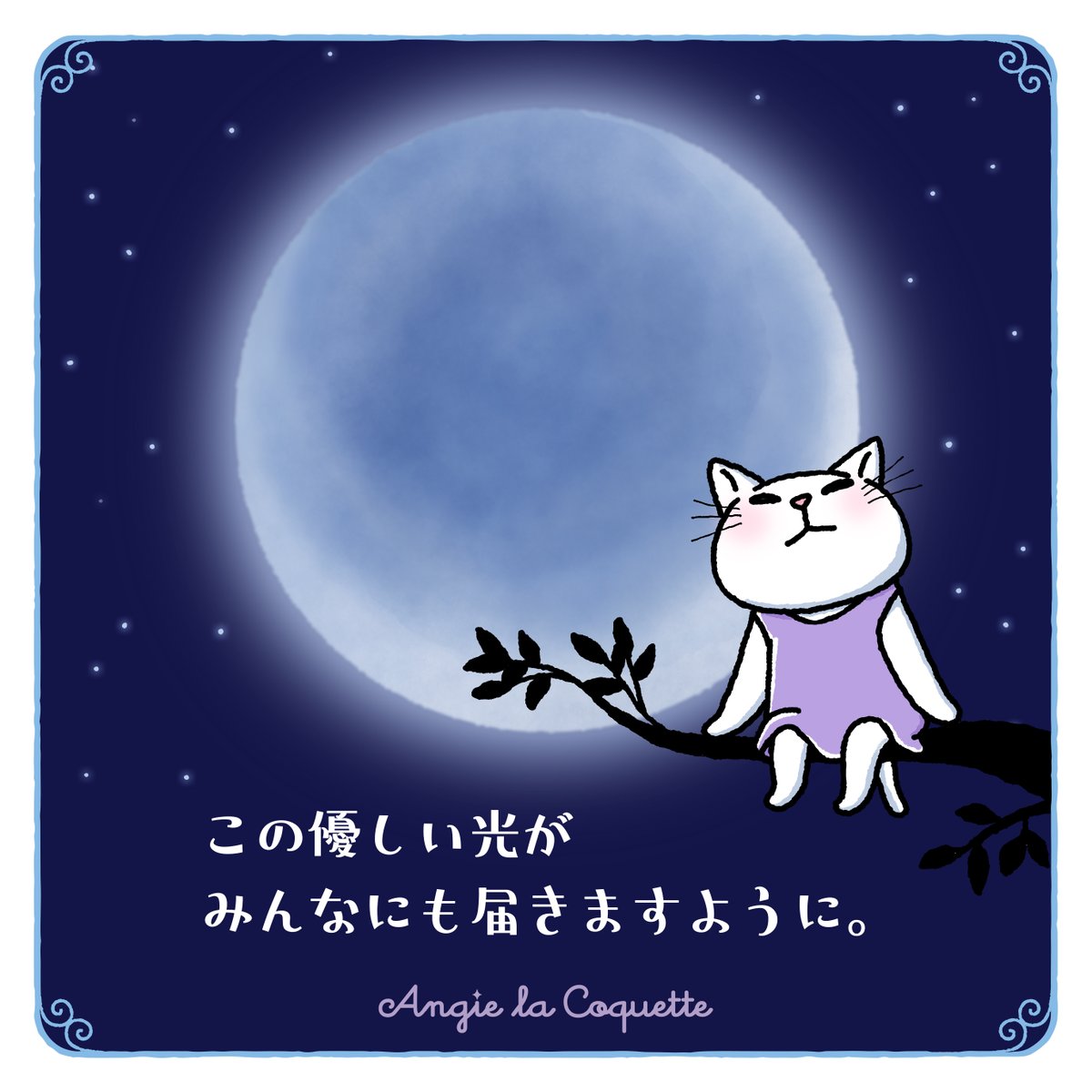 AngieLaCoquette's tweet photo. アンジーもお月様の光でたっくさん癒されてね。

#猫 #アンジー・ラ・コケット #ブルームーン #スーパームーン #満月 #癒し https://t.co/Rv2DtmYJH2