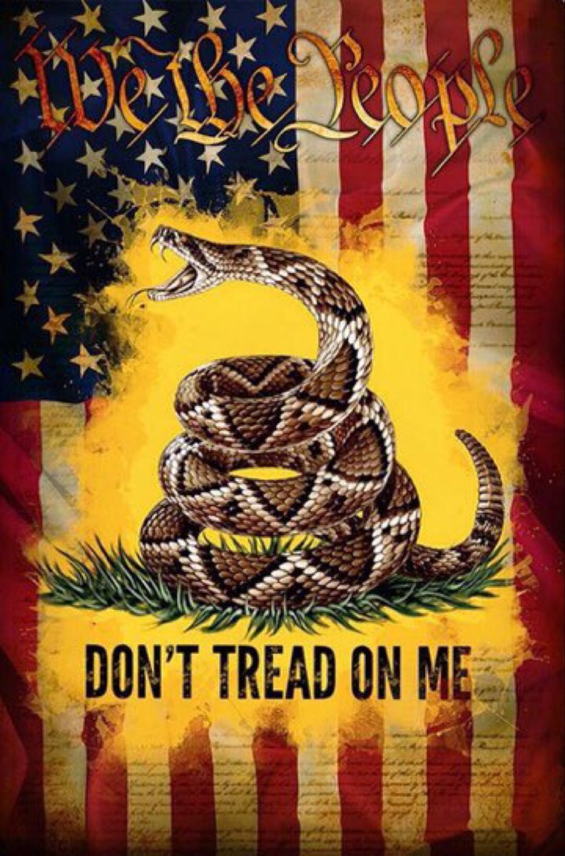 thomas_dwyer64's tweet photo. Good morning Patriots! Have a great day! To all in the path of Hurricane Idalia please stay safe! God bless America! 🇺🇸💪🫡🙏 https://t.co/yLlRazXsEg