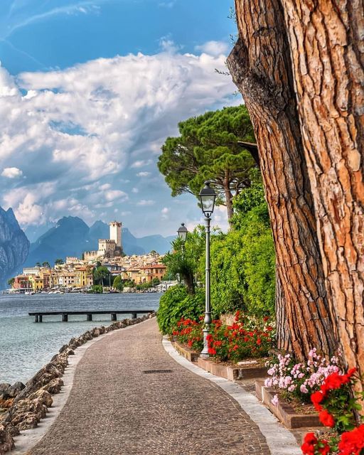 Malcesine. Lake Garda, Italy 🇮🇹🏘️🌳🌺🥀🌊
