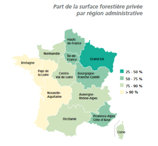 Fransylva_Lim's tweet photo. 💡Idée reçue n°1 : 🌳 🌲la forêt française appartient à tout le monde🌲 🌳

⛔ FAUX ⛔

🔍 La France compte 3,5 millions de propriétaires forestiers privés.

👉 https://t.co/ngTayKPkbm https://t.co/Nq1q3Bl9oD