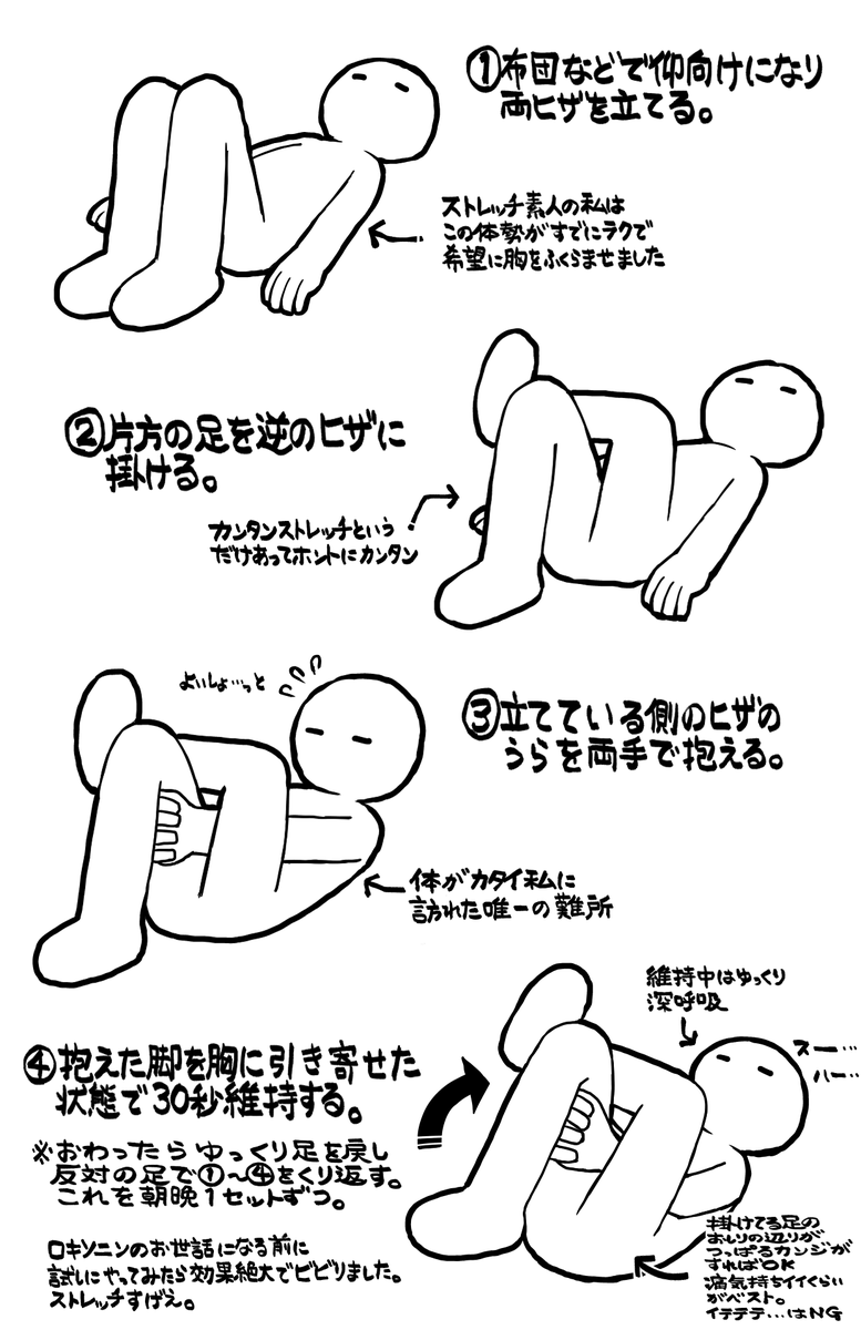 先日腰痛が爆発して仕事にならず試しに動画で色んな整体師さんがおすすめしてるストレッチを続けてみたら1週間ほどでほぼ痛みが消えてビビリました。 
