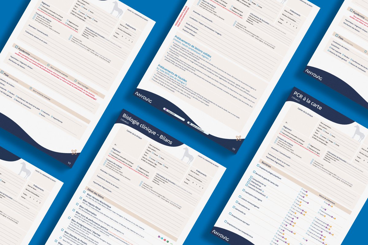 #Anydiag dévoile son catalogue d'analyses pour chevaux
 
🐴    Cette gamme très complète propose les principales analyses utiles dans la pratique quotidienne de ses prescripteurs #vétérinaires équins.

RDV sur anydiag.fr pour découvrir cette gamme.