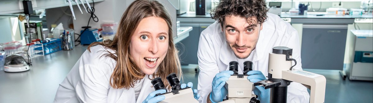 Tineke Lenstra (@tinekelenstra) on Twitter photo Are you interested in joining our lab at <a href="/NKI_nl/">The Netherlands Cancer Institute</a> as a PhD student to study gene regulation using live-cell single-molecule imaging technologies? Apply before Sept 3 for our #PhDprogram at bit.ly/44iOcOc. Please retweet. Are you interested in joining our lab at <a href="/NKI_nl/">The Netherlands Cancer Institute</a> as a PhD student to study gene regulation using live-cell single-molecule imaging technologies? Apply before Sept 3 for our #PhDprogram at bit.ly/44iOcOc. Please retweet.
