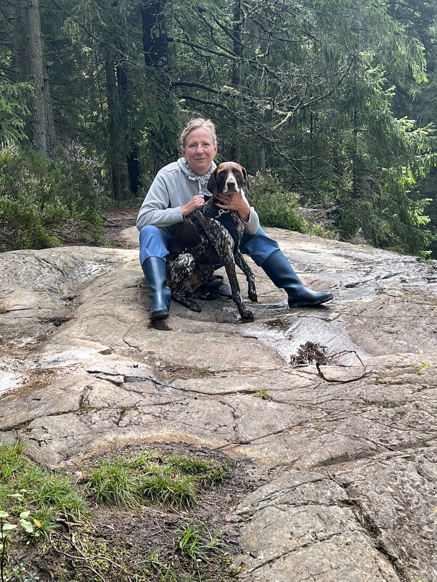 Dog missing in area #grevedenmark with the name Boris. Please contact me when you see of found him