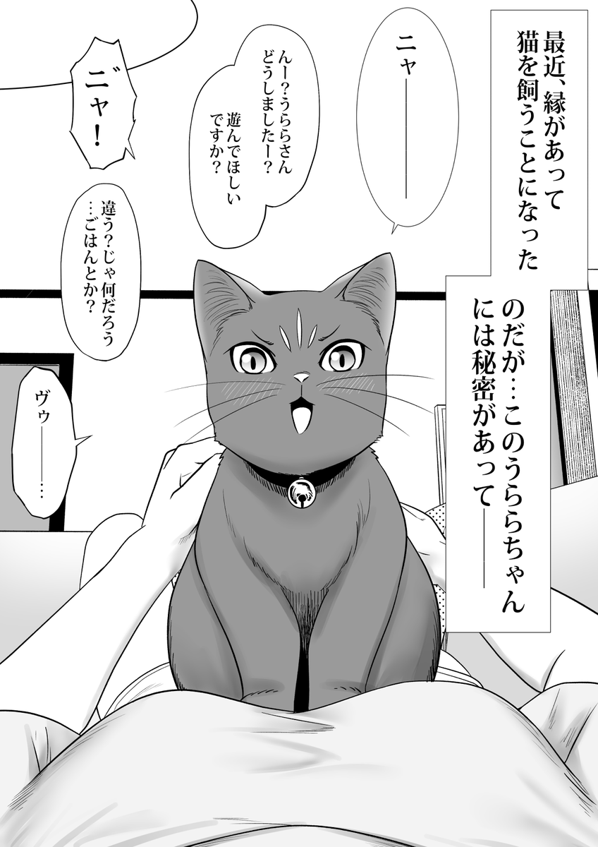 うちの猫の秘密(1/2) #オリジナル漫画 