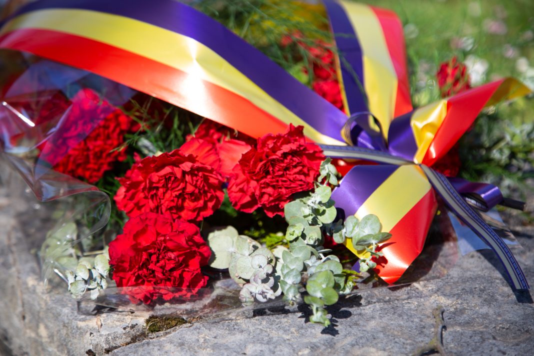 Hoy es el Día Internacional de las Víctimas de Desapariciones Forzadas.

En España siguen más de 114.226 republicanxs desaparecidxs por el franquismo fascista.

Seguiremos recordando, homenajeando, pidiendo justicia y reparación para todxs ellxs. 🌹✊💜