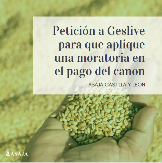 AsajaNacional's tweet photo. A la vuelta del verano, los agricultores deberán afrontar las siembras con más dificultades que nunca, tras varias campañas en números rojos 🔻 De ahí la petición a #Geslive y que demuestre su compromiso con el sector https://t.co/efzRzY4X0S https://t.co/4jHdX2Avnd