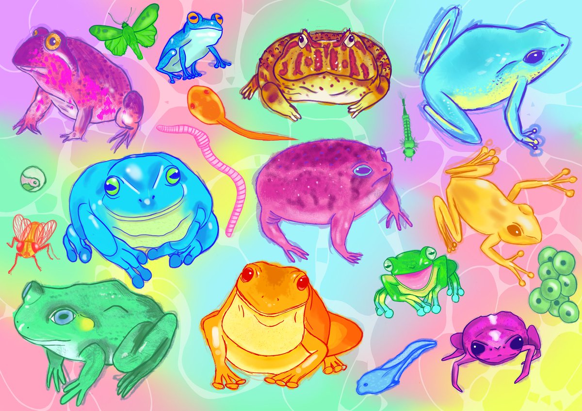 A study of frogs 🐸 

#fundrawing #practicedrawing