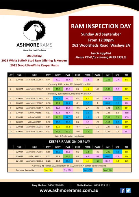Image from Ashmore Rams (@ashmorews)