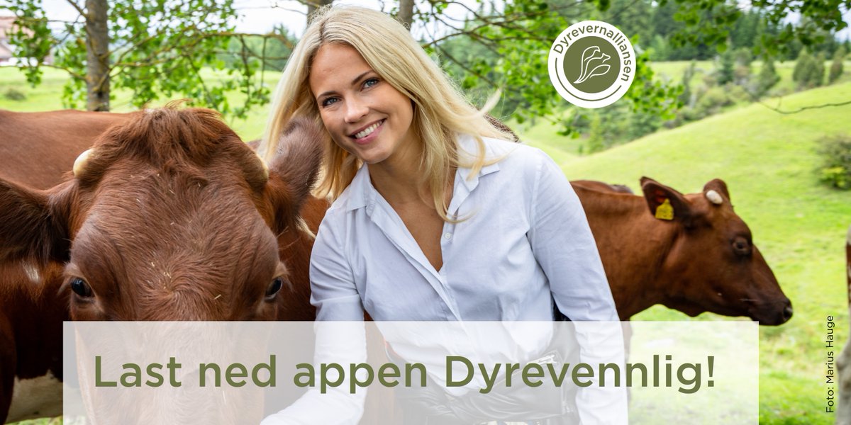 Vil du bruke forbrukermakten din til å gi flere dyr et bedre liv? 

Gjør som <a href="/Emilie/">els</a> Nereng, last ned appen!

dyrevern.no/dyrevern/dyrev… 

#dyrevern #dyrevelferd