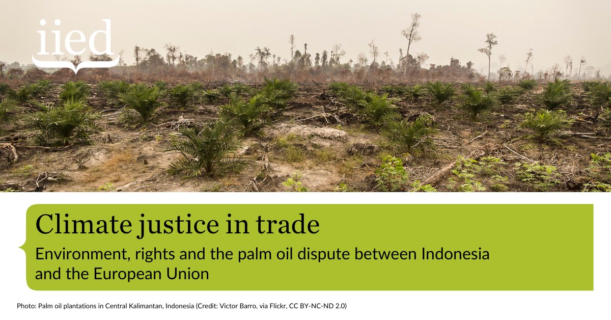 We recently worked with the Indonesia Legal Aid Foundation (YLBHI) to interrogate trade rules from a climate justice perspective. Together we honed in on #PalmOil trading between #Indonesia and Europe.

Find out more in the new long read. --&gt; iied.org/climate-justic…