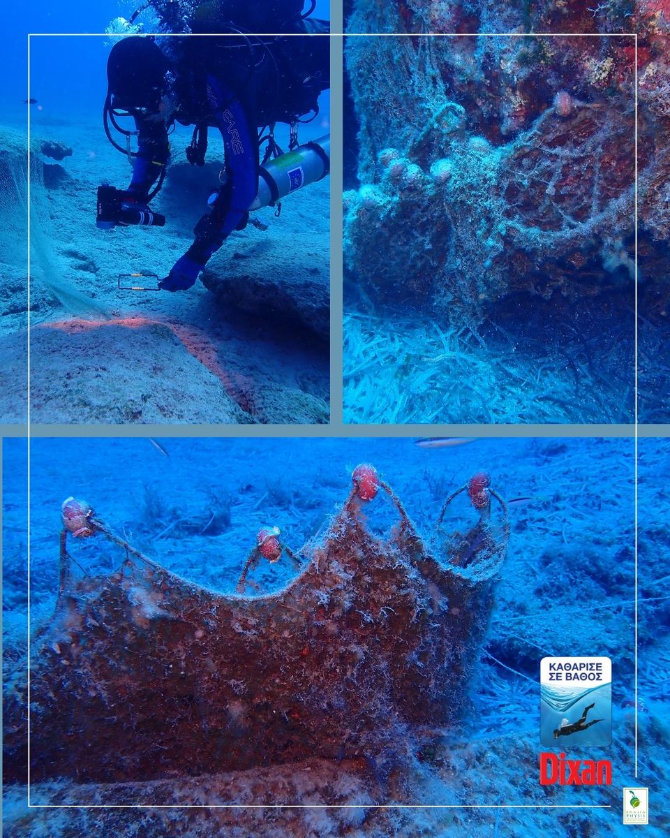 enaliaphysis's tweet photo. One of the most important and strong collaborations of Enalia Physis Environmental Research Centre for 2023 is the one with the environmental program Dixan “Clean in Depth” for clearing the sea bottom of Cape Greco from "ghost nets".
#EnaliaPhysis #ghostnets #dixancyprus https://t.co/rxxFkCc9qS