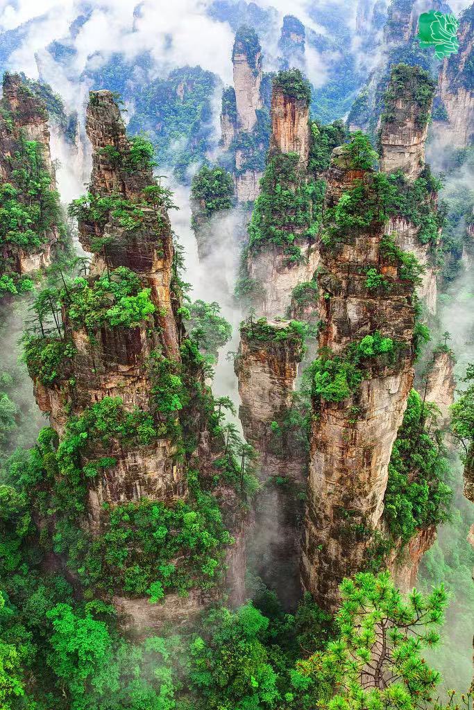 Experience the awe-inspiring #Avatar Hallelujah Mountain at #Zhangjiajie National Forest Park in #Hunan! Marvel at the towering peak that inspired the mesmerizing floating mountains in the iconic movie "Avatar."