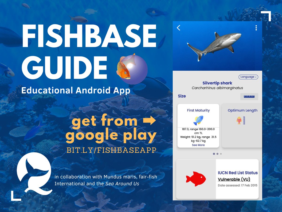 FishBaseProject's tweet image. Get the new #FishBaseGuide app (version 1.1.6) from Google Play! 📱

📊 updated species data 
🔍 enhanced filtering capabilities
🗣️ language support/Google Translate
⚠️ IUCN Redlist Status replaces vulnerability info
📏 LWR estimated body weights

📥 bit.ly/FBguideApp