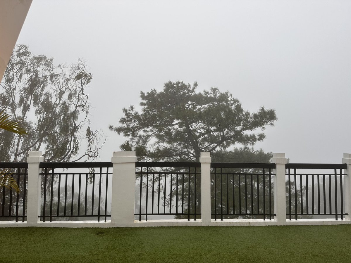 Dune Glam tweet media