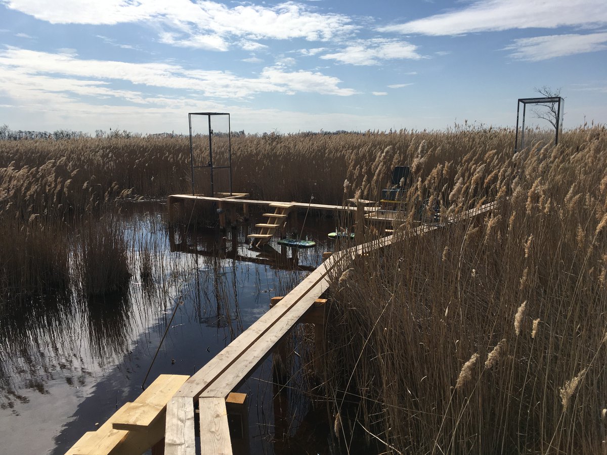 Here is my contribution to the #PeatCalendar for #PeatNeeds. The photo shows the reed belt of Lake Neusiedl in Austria. This year's theme for the #PeatCalendar is 'BOARDWALKS'. @PeatlandECR #PeatTwitter #PeatECR
peatecr.com/contact-us2/pe…