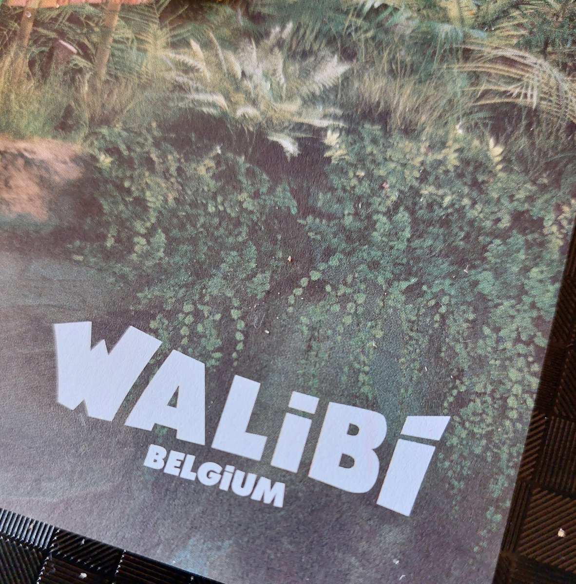 fromWwithlove's tweet photo. Walibi 🎉 https://t.co/GjNfH5fuQ8