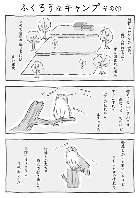 『ふくろうなキャンプ その①』(2/3)
#ふくろうな関係
#漫画が読めるハッシュタグ 