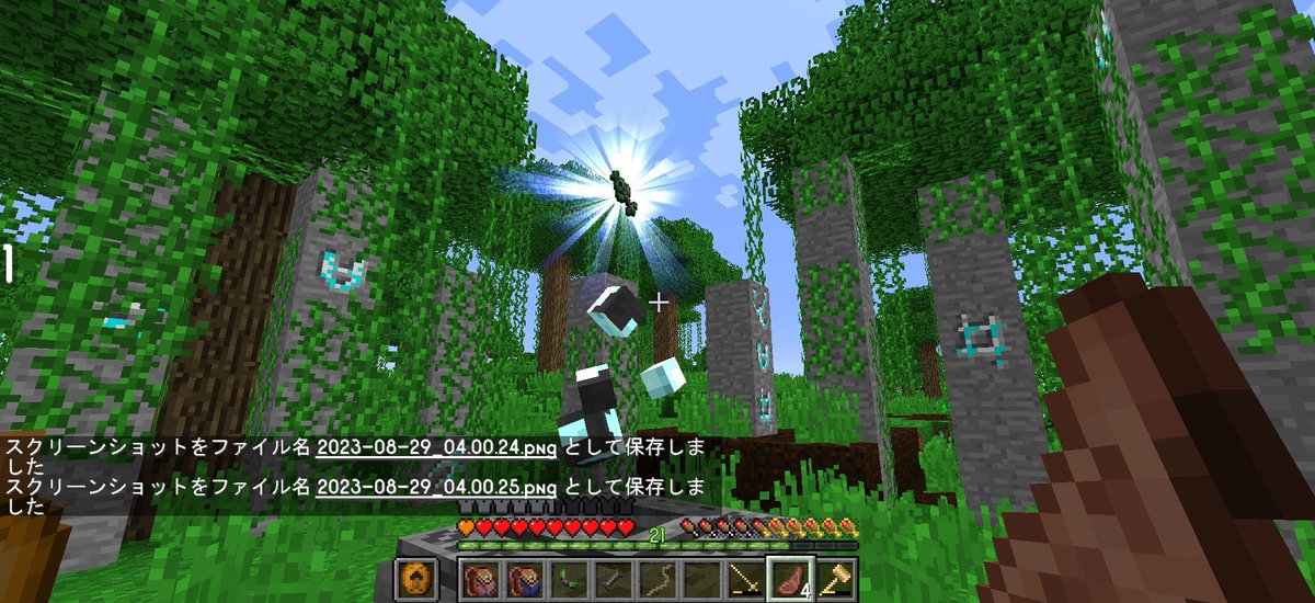 monomono_la's tweet photo. 無事遠征して沼地についたら祭壇のようなものが🤣
近づくと黒いモブが出てきて空中に跳ね飛ばしてくる。
例の血のブーツが落下死防止に役に立つ…というなんか敗北感ww
#Minecraft #マイクラ #マインクラフト #SevTechAges https://t.co/vQHGINDe6y