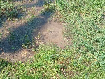 Burhaniye Ören'de evlerde su yok ama sokaklarda günlerce akıyor maşallah.. 2040 ve 2054 sokaklarda, ilgililere ileteli 10 gün oldu...Bize su tasarrufu önerenlere...<a href="/baskiimudurlugu/">BASKİ Genel Müdürlüğü</a>