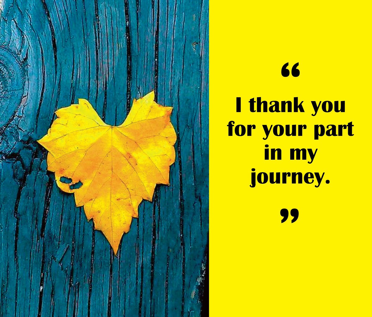 After more than 4 years of work, I could finally update my Linkedin INFO ❤️ 
I would like to sincerely thank all those who, over the years, have supported and sustained me both here on Twitter -X and on various socials such as Facebook and Instagram. I would like to extend my