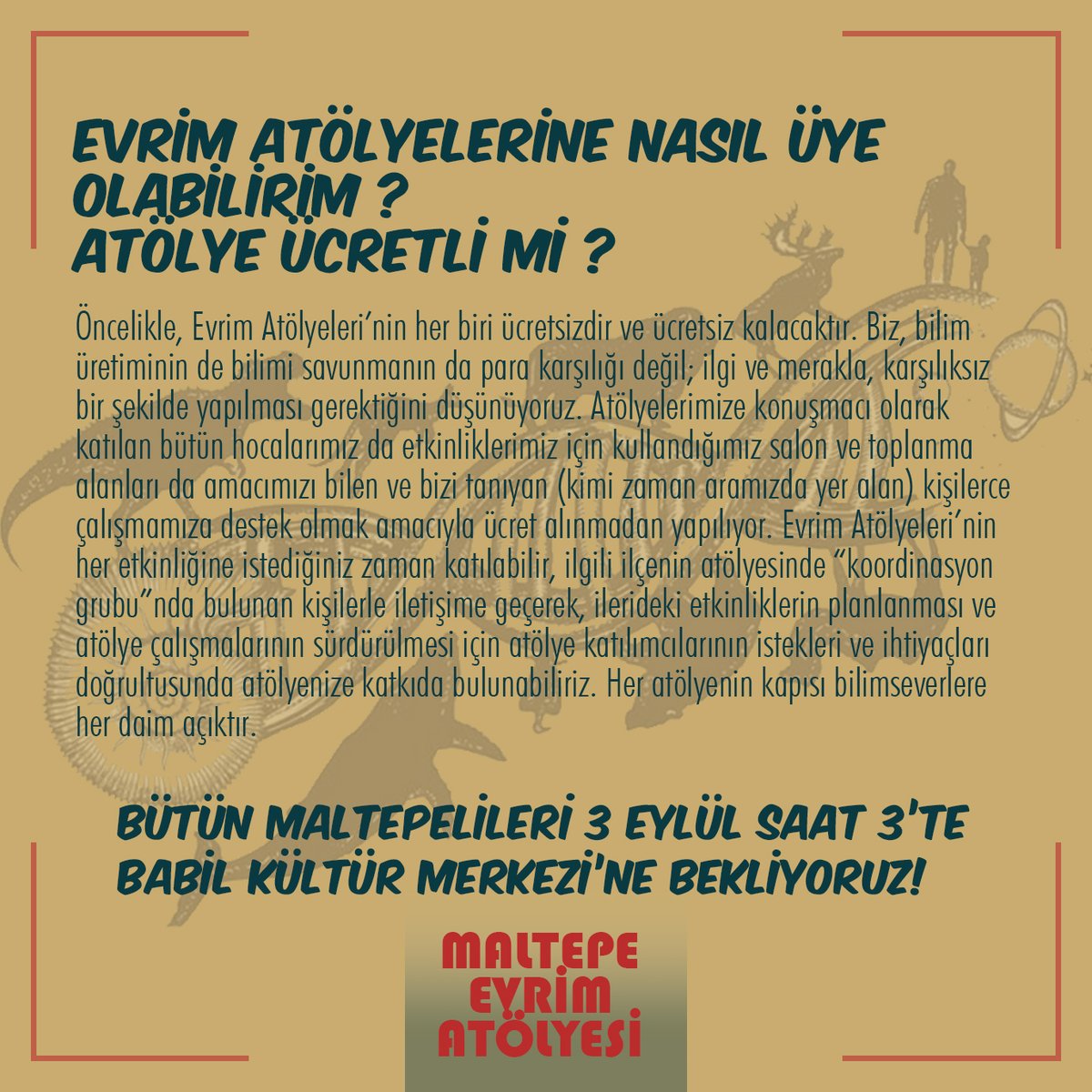 Maltepe Evrim Atölyesi başlıyor!