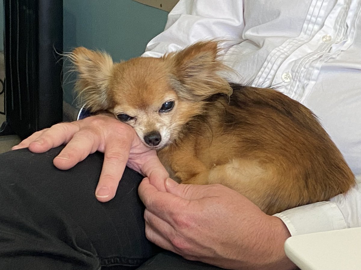 RumblesAndrew's tweet image. 